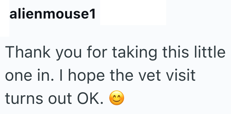 alienmouse1 Thank you for taking this little one in. I hope the vet visit turns out OK.