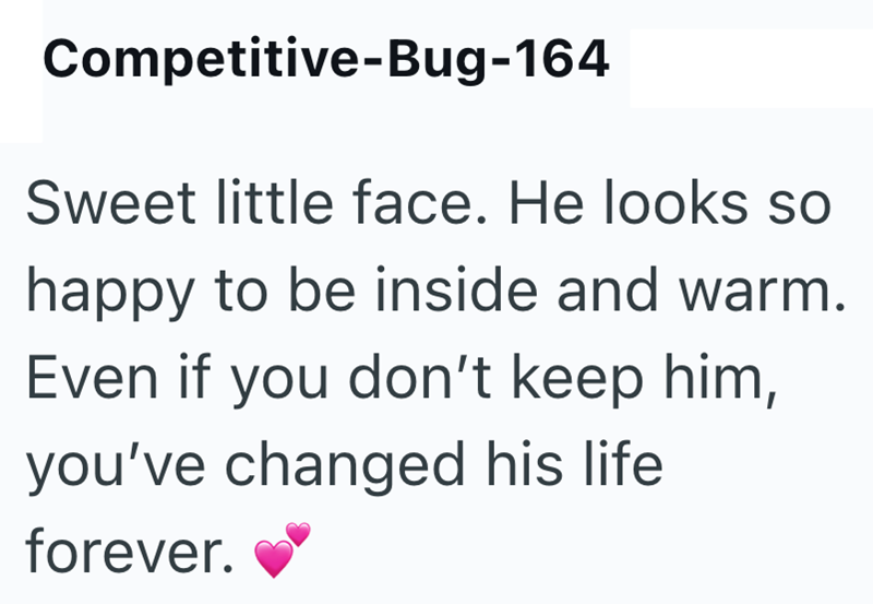 Competitive-Bug-164 Sweet little face. He looks so happy to be inside and warm. Even if you don't keep him, you've changed his life forever.