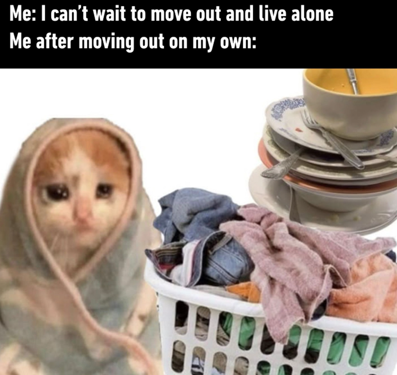 Me: I can't wait to move out and live alone Me after moving out on my own: