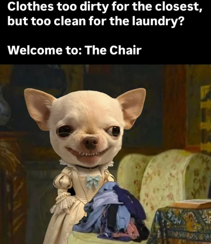 Clothes too dirty for the closest, but too clean for the laundry? Welcome to: The Chair F