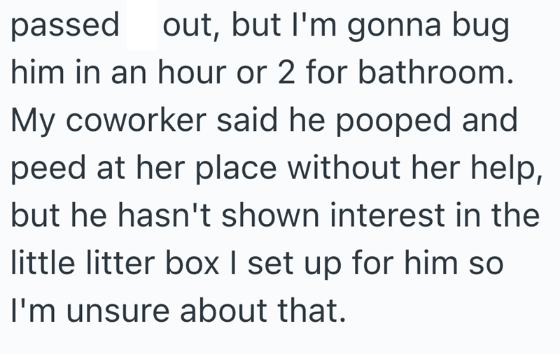 passed out, but I'm gonna bug him in an hour or 2 for bathroom. My coworker said he pooped and peed at her place without her help, but he hasn't shown interest in the little litter box I set up for him so I'm unsure about that.