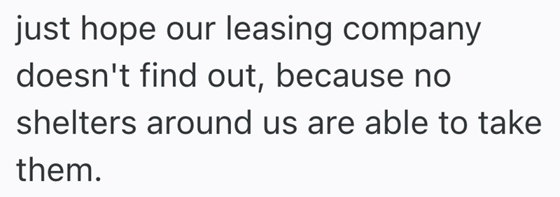 just hope our leasing company doesn't find out, because no shelters around us are able to take them.