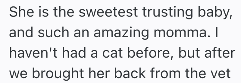 She is the sweetest trusting baby, and such an amazing momma. I haven't had a cat before, but after we brought her back from the vet