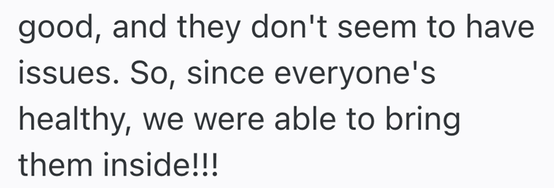 good, and they don't seem to have issues. So, since everyone's healthy, we were able to bring them inside!!!