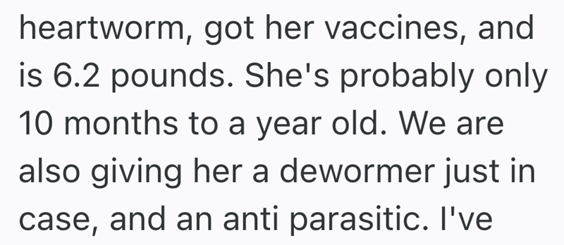 heartworm, got her vaccines, and is 6.2 pounds. She's probably only 10 months to a year old. We are also giving her a dewormer just in case, and an anti parasitic. I've