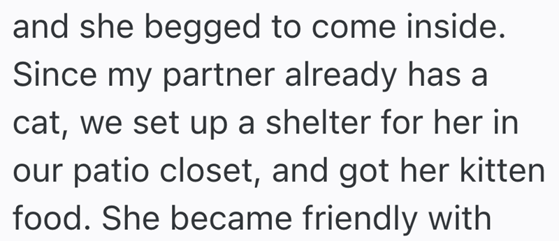 and she begged to come inside. Since my partner already has a cat, we set up a shelter for her in our patio closet, and got her kitten food. She became friendly with