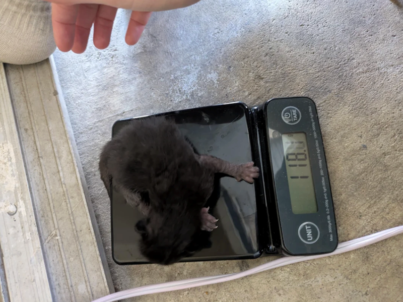 UNIT 118 0 TARE Max 3000gb 0.2-200g d-0.190.005oz 200-1000g d-0 590 02oz 1000-3000g 1g0.05-