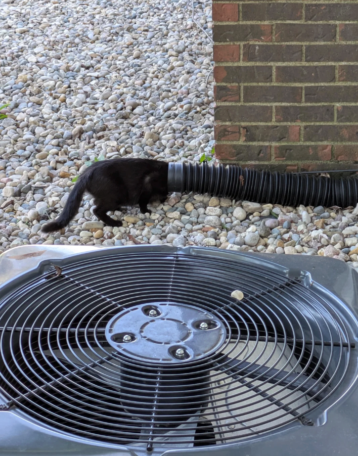 Cheezburger Image 10627661568