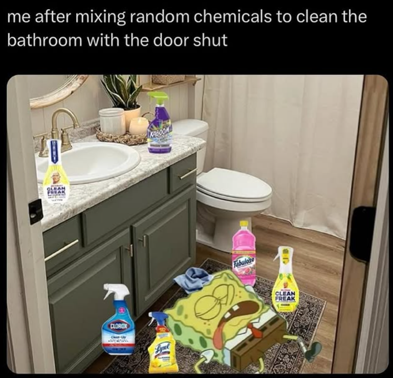 me after mixing random chemicals to clean the bathroom with the door shut CLEAN FRE CLOROX Lysel KABOOM Fabuloso JB CLEAN FREAK