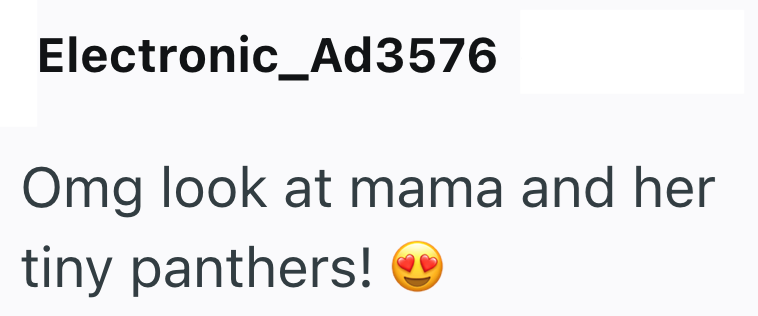 Electronic_Ad3576 Omg look at mama and her tiny panthers!