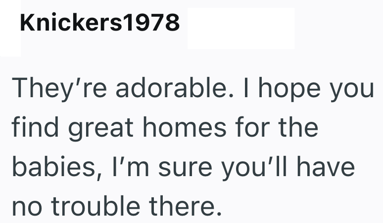 Knickers1978 They're adorable. I hope you find great homes for the babies, I'm sure you'll have no trouble there.