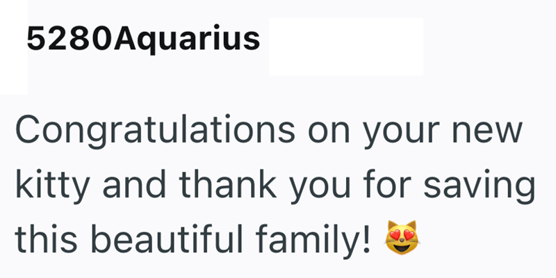 5280Aquarius Congratulations on your new kitty and thank you for saving this beautiful family! ✔