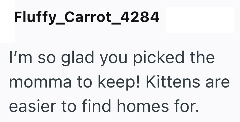 Fluffy_Carrot_4284 I'm so glad you picked the momma to keep! Kittens are easier to find homes for.