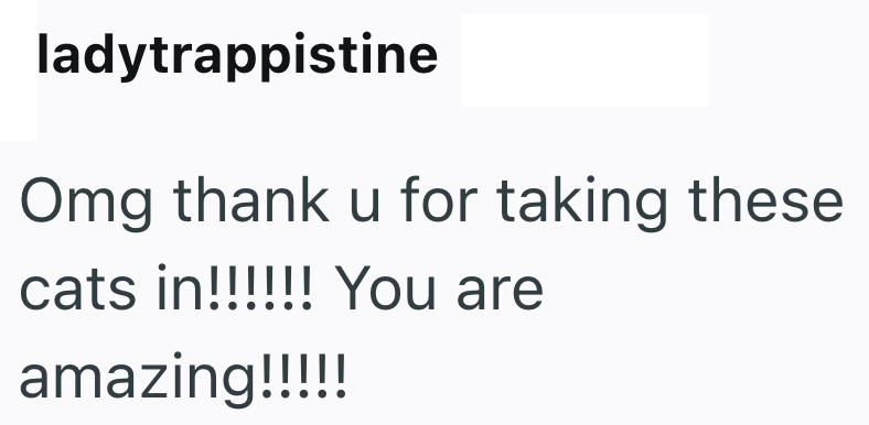 ladytrappistine Omg thank u for taking these cats in!!!!!! You are amazing!!!!!