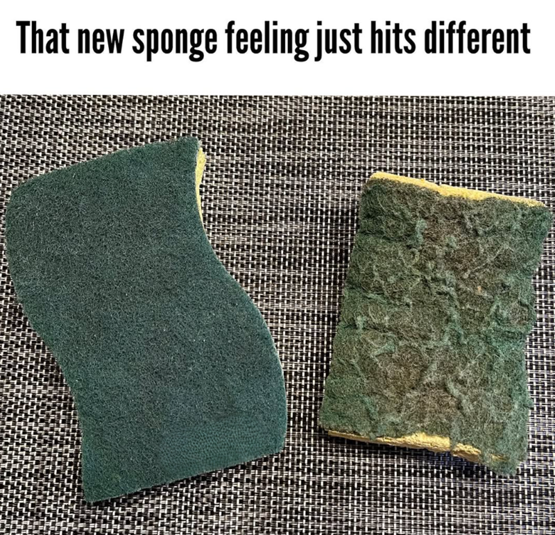That new sponge feeling just hits different