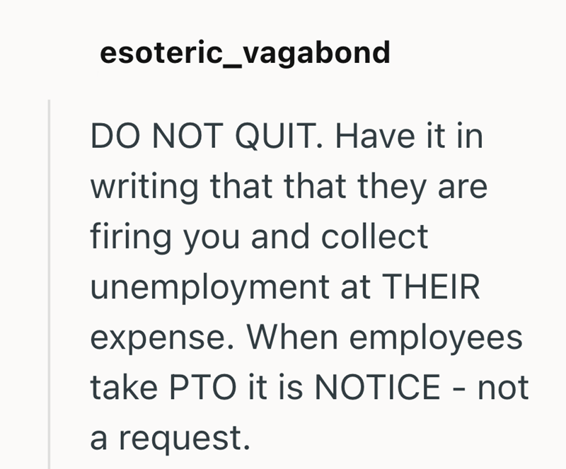 esoteric_vagabond DO NOT QUIT. Have it in writing that that they are firing you and collect unemployment at THEIR expense. When employees take PTO it is NOTICE - not a request.