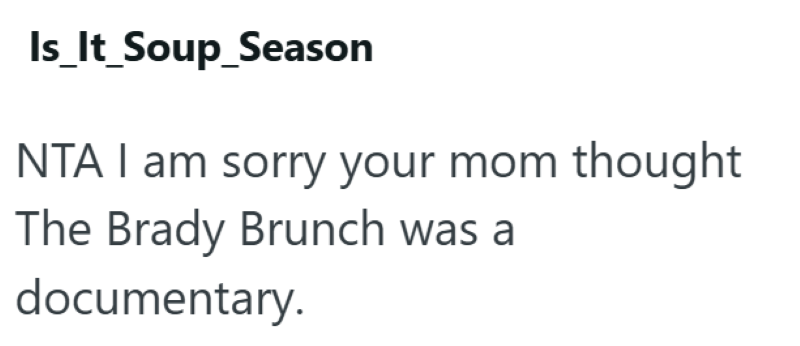 Is_It_Soup_Season NTA I am sorry your mom thought The Brady Brunch was a documentary.