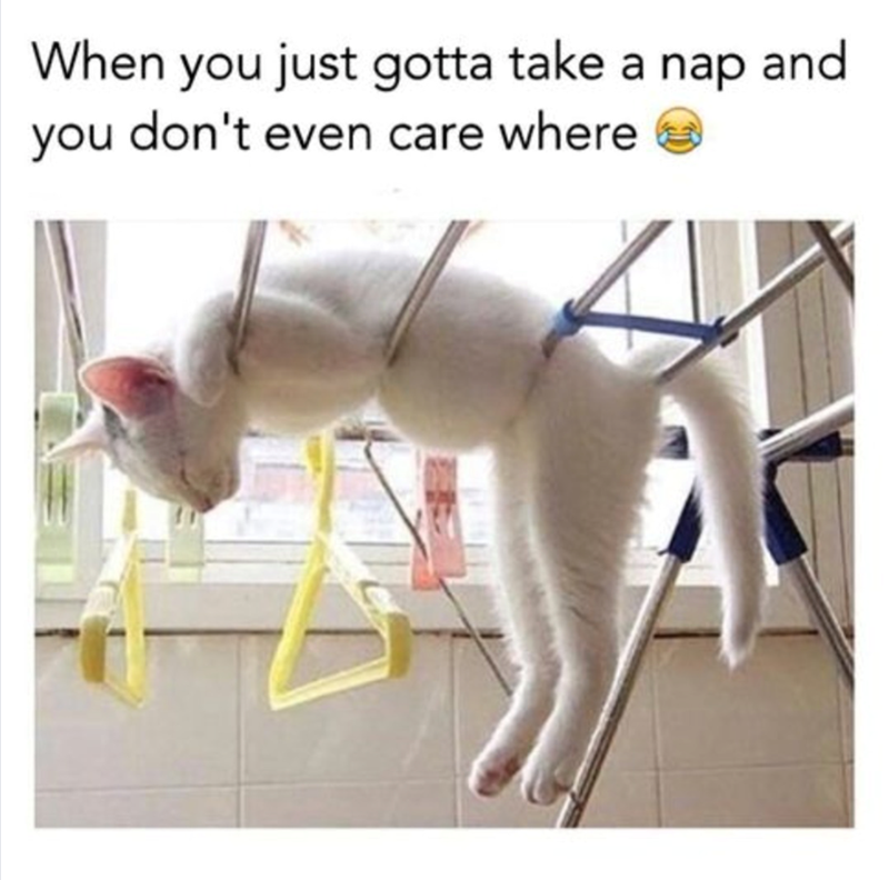When you just gotta take a nap and you don't even care where