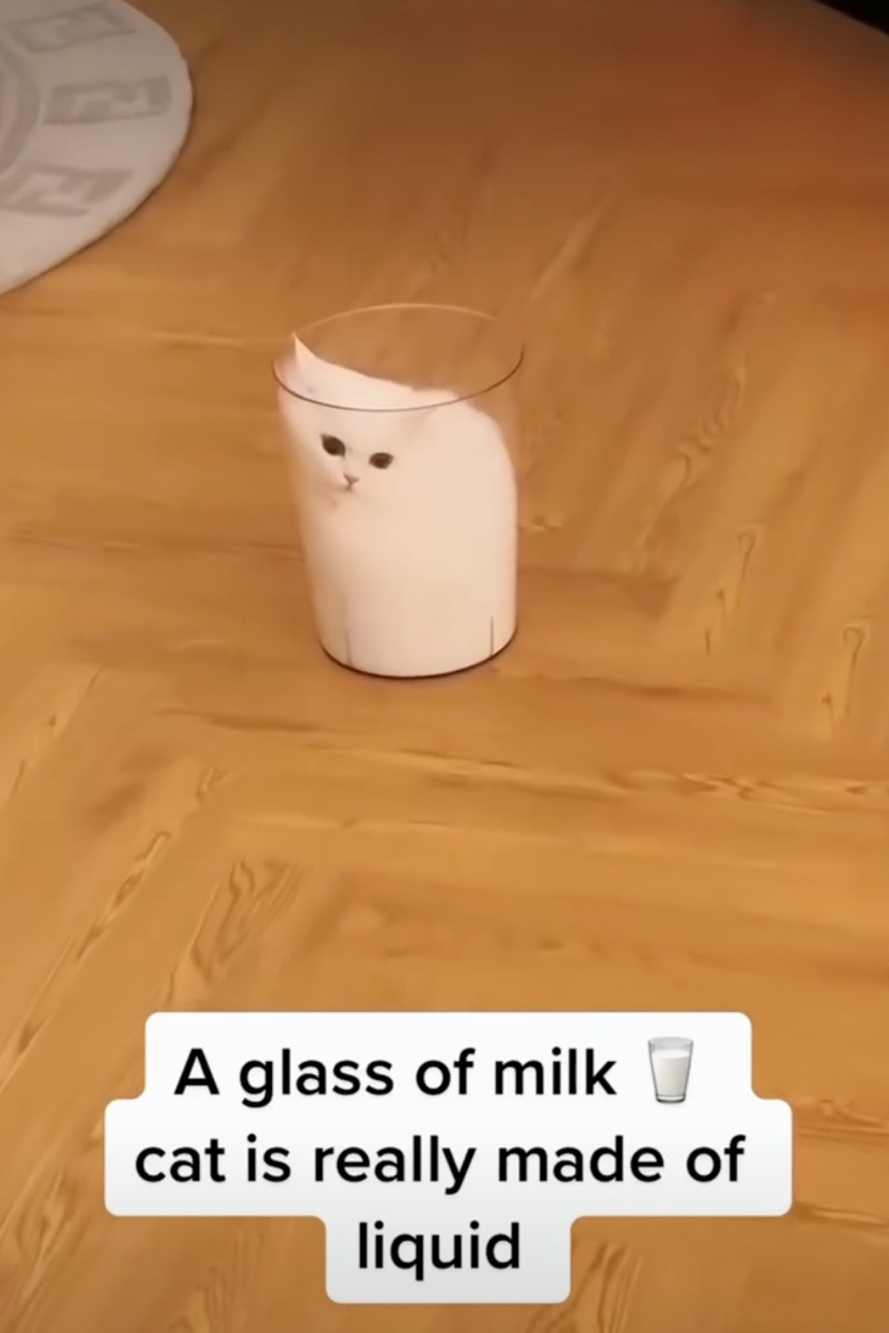 E A glass of milk cat is really made of liquid