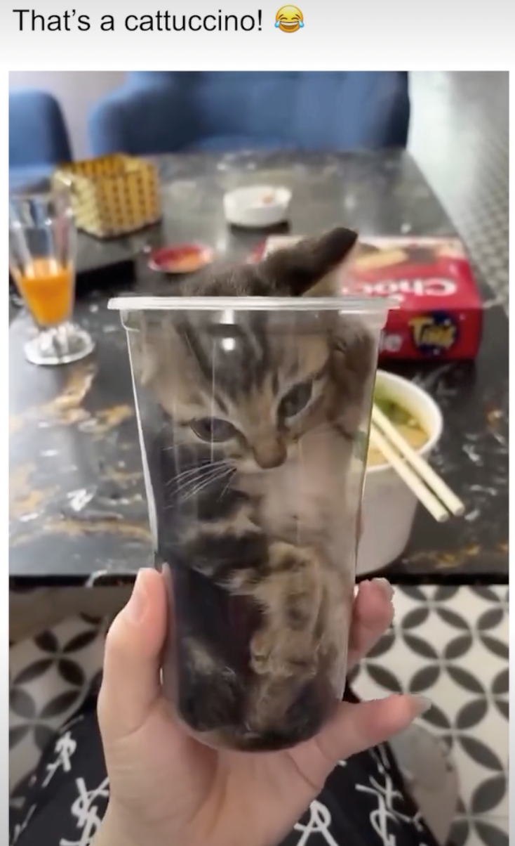 That's a cattuccino! Tik
