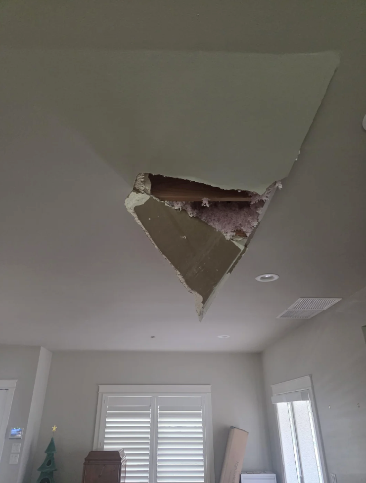 Cheezburger Image 10627694080