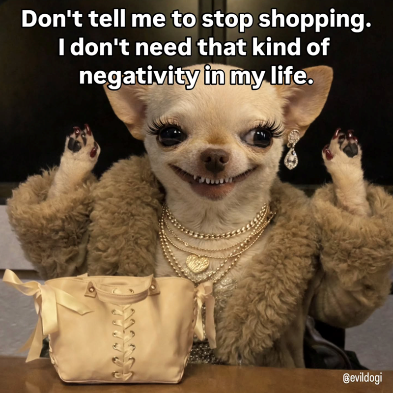 Don't tell me to stop shopping. I don't need that kind of negativity in my life. Bevildogi