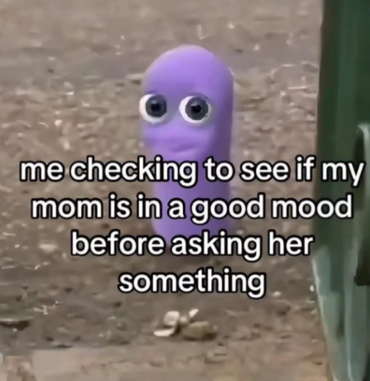 me checking to see if my mom is in a good mood before asking her something