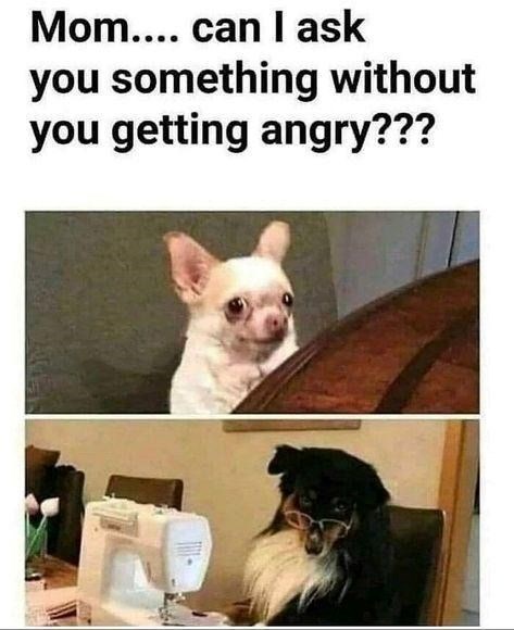 Mom.... can I ask you something without you getting angry???