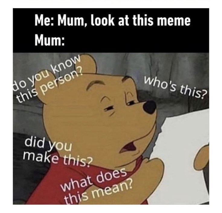 Me: Mum, look at this meme Mum: do you know this person? who's this? did you make this? what does this mean?
