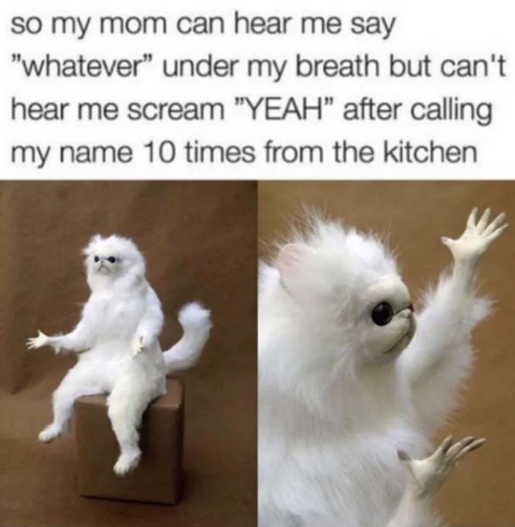 so my mom can hear me say "whatever" under my breath but can't hear me scream "YEAH" after calling my name 10 times from the kitchen