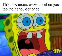 This how moms wake up when you tap their shoulder once