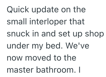 Quick update on the small interloper that snuck in and set up shop under my bed. We've now moved to the master bathroom. I