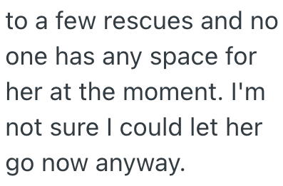 to a few rescues and no one has any space for her at the moment. I'm not sure I could let her go now anyway.