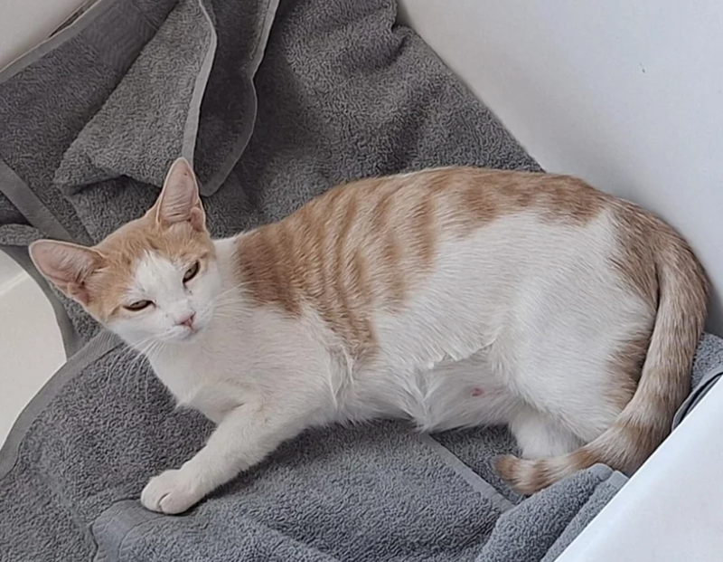 Cheezburger Image 10627734016