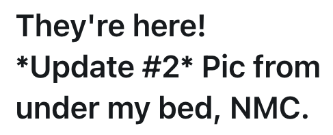 They're here! *Update #2* Pic from under my bed, NMC.