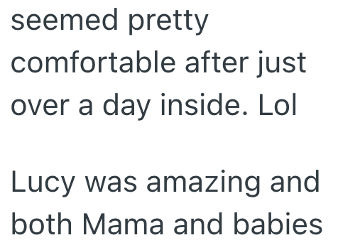 seemed pretty comfortable after just over a day inside. Lol Lucy was amazing and both Mama and babies