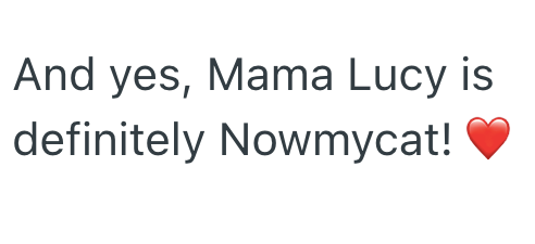 And yes, Mama Lucy is definitely Nowmycat!