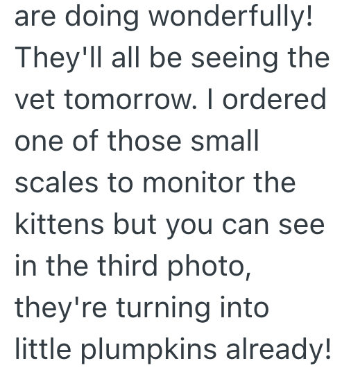 are doing wonderfully! They'll all be seeing the vet tomorrow. I ordered one of those small scales to monitor the kittens but you can see in the third photo, they're turning into little plumpkins already!