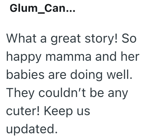 Glum_Can... What a great story! So happy mamma and her babies are doing well. They couldn't be any cuter! Keep us updated.