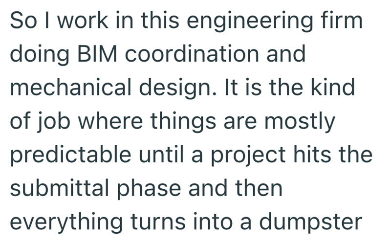 So I work in this engineering firm doing BIM coordination and mechanical design. It is the kind of job where things are mostly predictable until a project hits the submittal phase and then everything turns into a dumpster