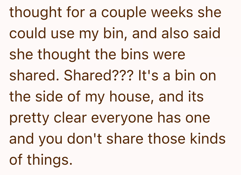 thought for a couple weeks she could use my bin, and also said she thought the bins were shared. Shared??? It's a bin on the side of my house, and its pretty clear everyone has one and you don't share those kinds of things.