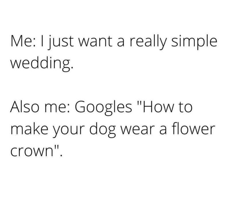 Me: I just want a really simple. wedding. Also me: Googles "How to make your dog wear a flower crown".