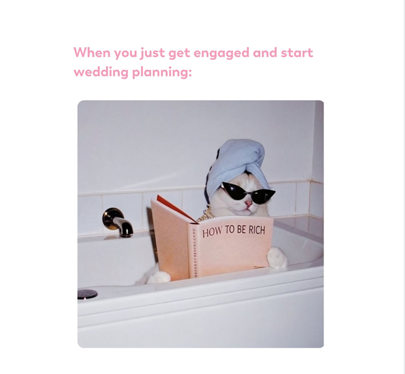 When you just get engaged and start wedding planning: HOW TO BE RICH