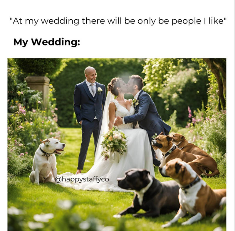 "At my wedding there will be only be people I like" My Wedding: @happystaffyco