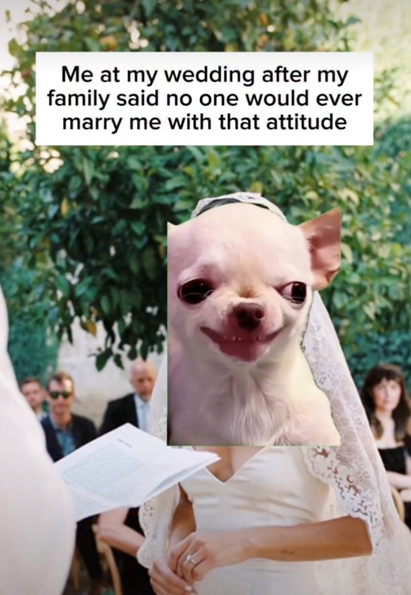 Me at my wedding after my family said no one would ever marry me with that attitude