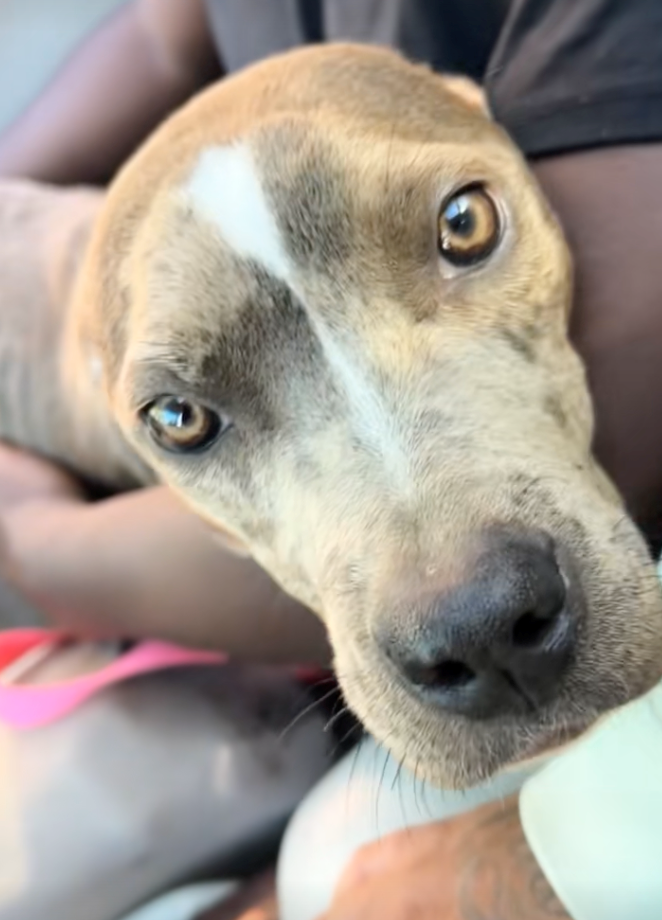 Cheezburger Image 10627758848