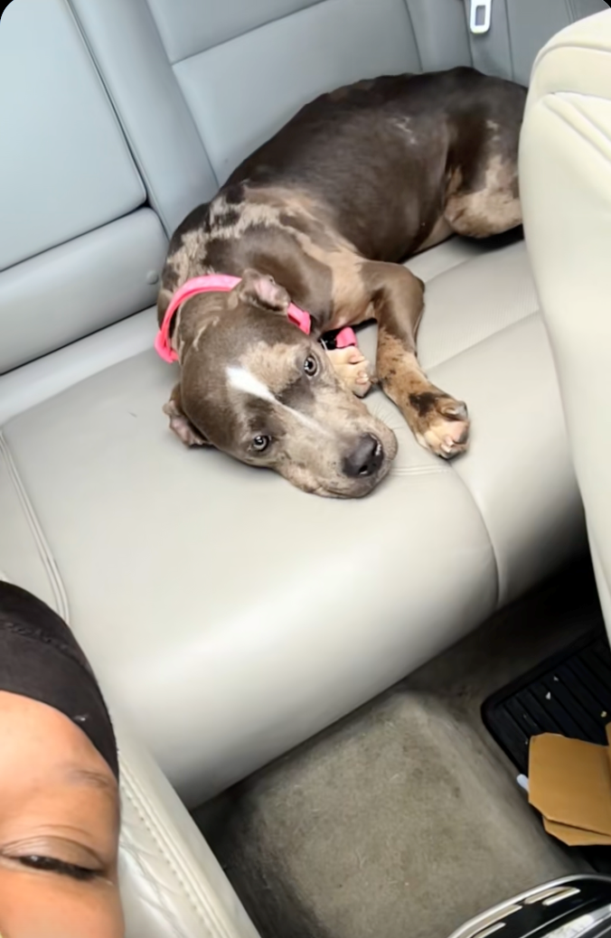 Cheezburger Image 10627759616