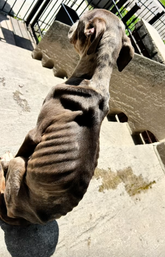 Cheezburger Image 10627759872