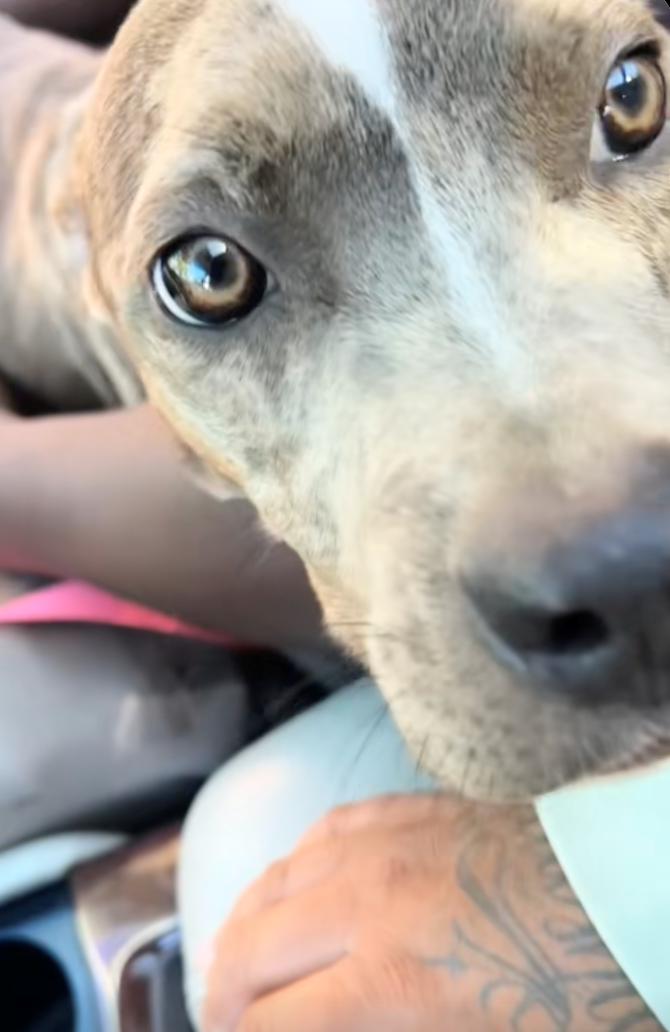 Cheezburger Image 10627760128