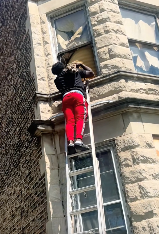 Cheezburger Image 10627760384